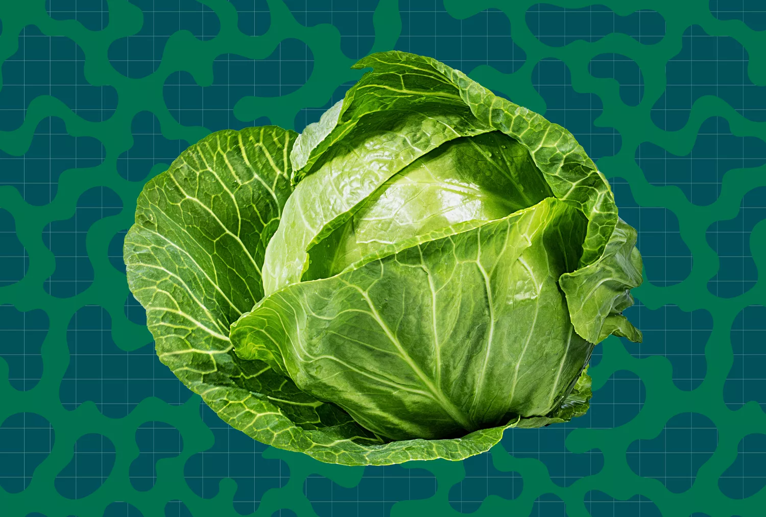 an image of a head of cabbage